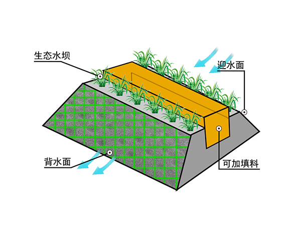 澳六宝典