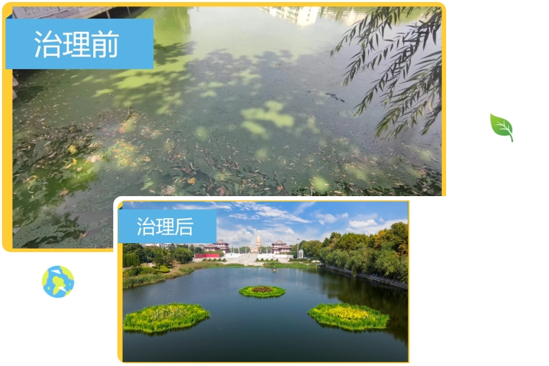 澳六宝典